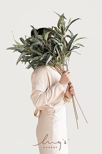 Willow Leaf Salix Branches, Tall Artificial Greenery Stems, alternate view 2