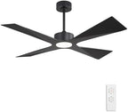 WINGBO 54" Wet Rated Outdoor Ceiling Fan with Lights, 4 ABS Plastic Blades, Reversible DC Motor, 6-Speed Remote