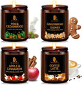 Winter Candle Set, Candles for Home Scented, 4 Pack Soy Candles Gifts for Women Men, Winter Scents of