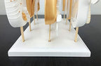 Wood Cakesicle Stand Display - 12 Count Popsicle Sticks Holder for Dessert Table of Wedding Shower Birthday, alternate view 7