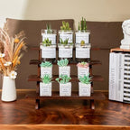 Wooden Rustic Cupcake Stand for 24 Cupcakes, Stepped Wood Display Stand for Weddings, Tiered Party Table Display, alternate