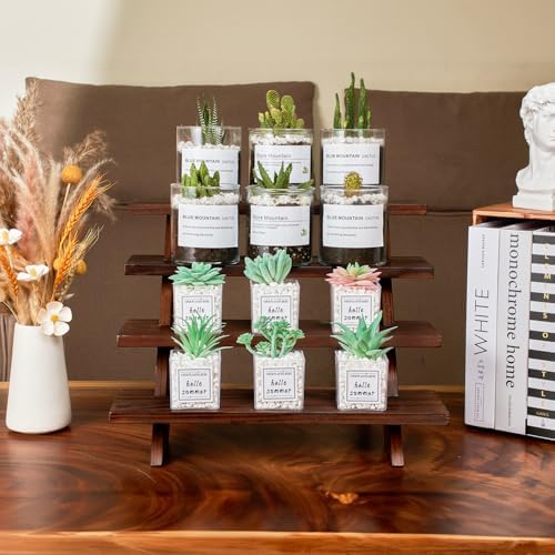 Wooden Rustic Cupcake Stand for 24 Cupcakes, Stepped Wood Display Stand for Weddings, Tiered Party Table Display, alternate