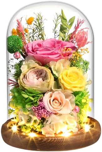 Yellow + Pink Roses - Preserved Real Roses with LED Light in Glass Dome, Perfect Long-Lasting Birthday Gifts for