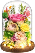 Yellow + Pink Roses - Preserved Real Roses with LED Light in Glass Dome, Perfect Long-Lasting Birthday Gifts for