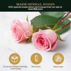 Yellow + Pink Roses - Preserved Real Roses with LED Light in Glass Dome, Perfect Long-Lasting Birthday Gifts for, alternate