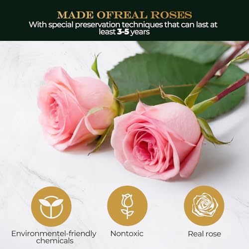 Yellow + Pink Roses - Preserved Real Roses with LED Light in Glass Dome, Perfect Long-Lasting Birthday Gifts for, alternate