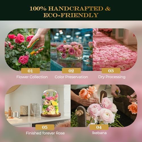 Yellow + Pink Roses - Preserved Real Roses with LED Light in Glass Dome, Perfect Long-Lasting Birthday Gifts for, alternate